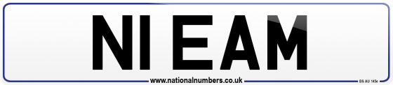 N1 EAM