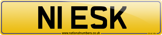 N1 ESK