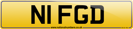 N1 FGD