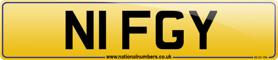 N1 FGY