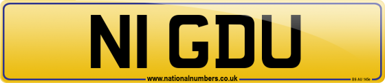 N1 GDU