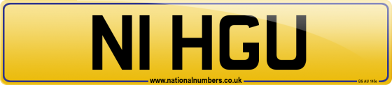 N1 HGU