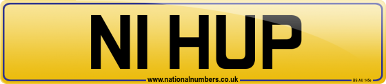 N1 HUP