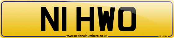 N1 HWO