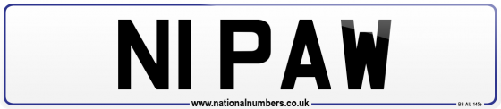 N1 PAW