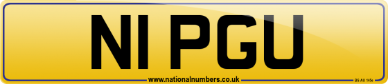 N1 PGU