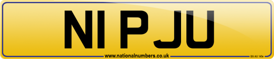 N1 PJU