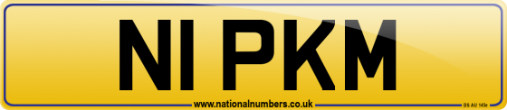 N1 PKM