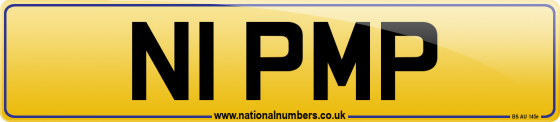 N1 PMP