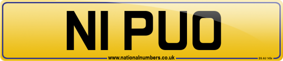 N1 PUO