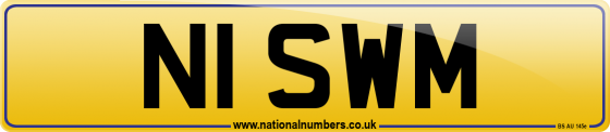 N1 SWM