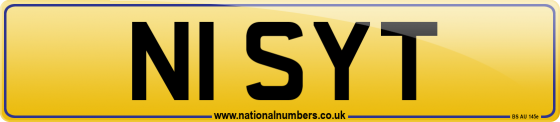 N1 SYT