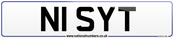 N1 SYT