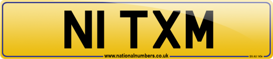 N1 TXM