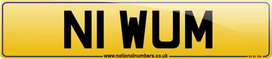 N1 WUM