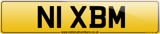 N1 XBM