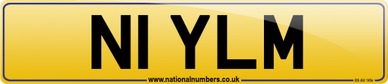 N1 YLM