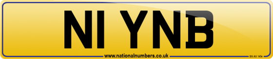N1 YNB