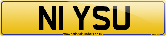 N1 YSU