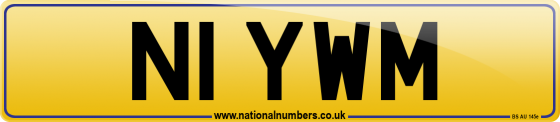 N1 YWM