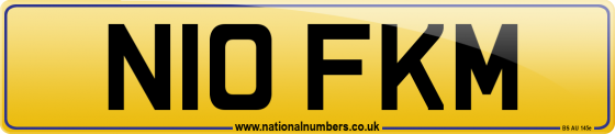 N10 FKM
