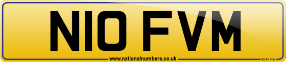 N10 FVM