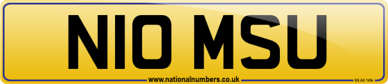 N10 MSU