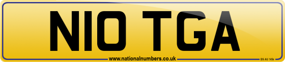 N10 TGA