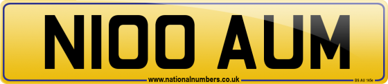N100 AUM