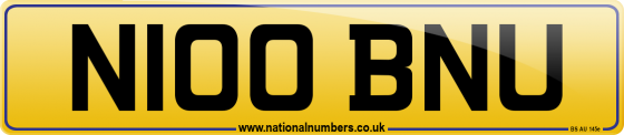 N100 BNU