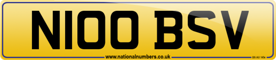 N100 BSV