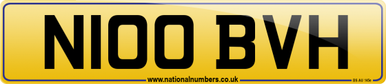 N100 BVH