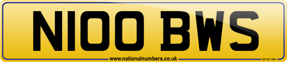 N100 BWS