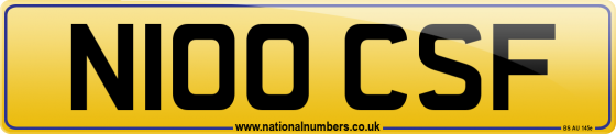 N100 CSF