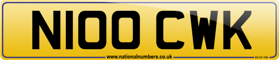 N100 CWK
