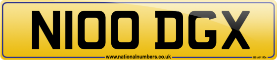 N100 DGX