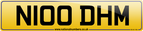 N100 DHM