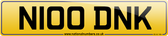 N100 DNK