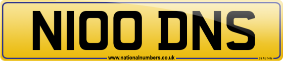 N100 DNS