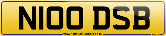 N100 DSB