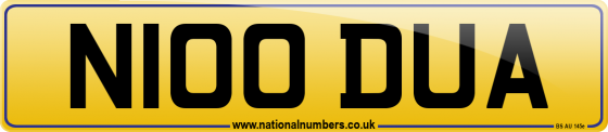 N100 DUA