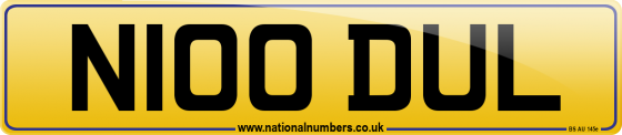 N100 DUL
