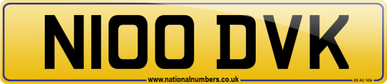N100 DVK
