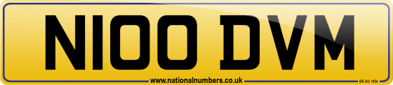 N100 DVM