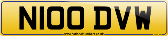 N100 DVW