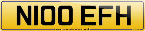 N100 EFH
