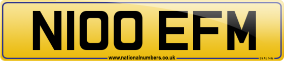 N100 EFM