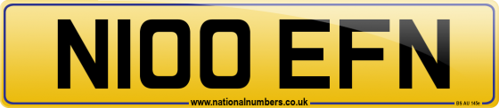 N100 EFN