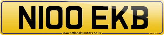N100 EKB