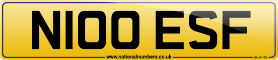 N100 ESF